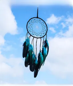 Détail de plumes bleu sarcelle et noires sur un pendentif attrape-rêves sous le ciel bleu