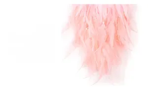 Detail of pink feathers with small white pearls and soft texture for dreamcatchers