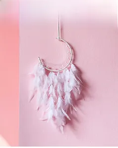 Detail of moon-shaped dream catcher with white feathers and pearl beads on pink wall