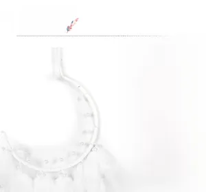Detail of moon-shaped dream catcher with white feathers and woven net for home decor