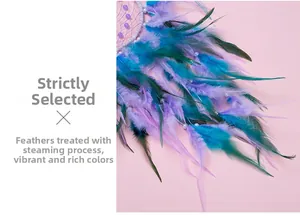 Detail of dream catcher featuring colorful feathers treated with fumigation process
