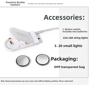 Dettaglio accessori luci LED da 2,2 m con 20 lampadine e scatola batteria a bottone