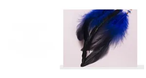 Détail d'un attrape-rêves arbre de vie avec des plumes bleu foncé et noires faites main