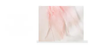 Detailed view of premium soft pink feathers with delicate texture for car ornaments