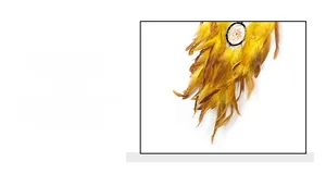 Detail of a handmade dreamcatcher with vibrant yellow feathers and black woven ring