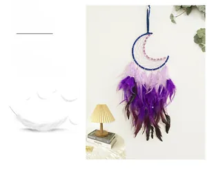 Vue détaillée d'un attrape-rêves lune avec plumes violettes et perles dans un intérieur
