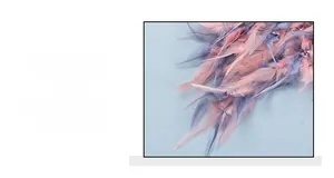 Detail of soft pink and blue-gray feathers with small pearl beads for dream catcher decor