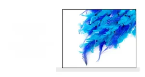 Detail of premium gradient blue and cyan feathers for dreamcatcher with fine texture