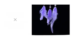Detail of purple feathers and crystal beads car hanging ornament on black background