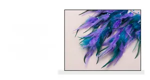 Close-up of vibrant purple and cyan feathers with small white pearls on dreamcatcher