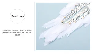 Close-up of bohemian wall hanging featuring soft white feathers and natural wooden beads