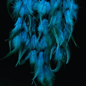 Décoration murale bohème en cristal avec plumes bleu paon et vert foncé chic