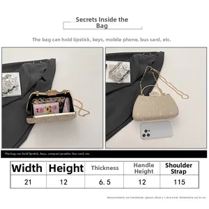 Detailed size guide and interior capacity display of the luxury rhinestone evening clutch