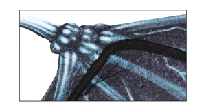 Detailed close-up of dark party wing prop featuring realistic blue skeleton bone printing