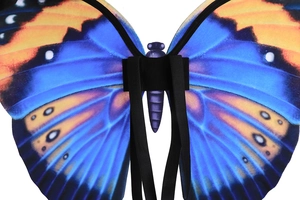 Detail of the butterfly costume wings featuring vibrant blue patterns and black elastic straps
