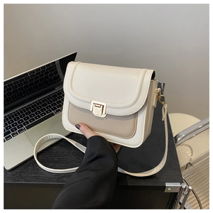 Détail d'un petit sac à main beige et kaki en cuir avec une boucle en métal doré