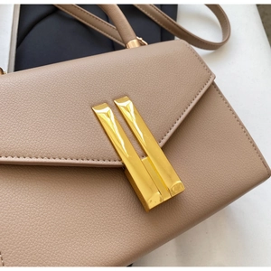 Detail of elegant gold metal clasp and grain leather texture on chic crossbody bag