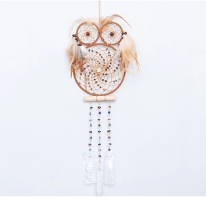 Detailed close-up of a handmade owl dreamcatcher with natural feathers and colorful beads