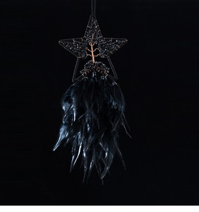Macro detail of black pentagram tree of life dream catcher with natural feathers