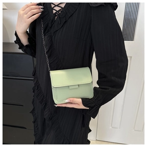 Close-up of light green crossbody bag featuring silver chain strap and leather texture