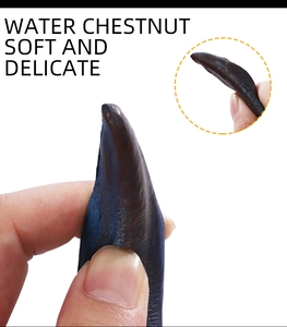 Close-up of soft and delicate water chestnut carnival prop showing flexible material texture