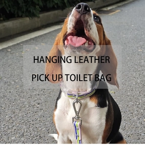 Close-up of leather pet waste bag holder with metal hook attached to a dog leash