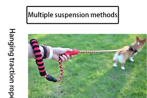 Detail of red foam handle and thick woven rope leash with multiple suspension options