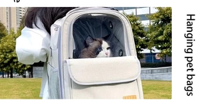Outdoor detail of white pet carrier backpack with clear window showing a cat inside