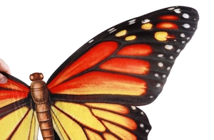 Detailed view of the monarch butterfly wings fabric with vibrant orange and black patterns
