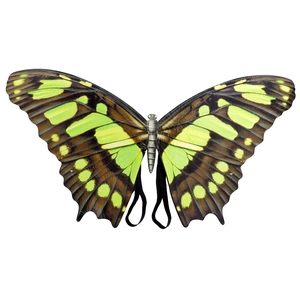 Detail of green and black patterned butterfly wings with elastic straps for costume wear
