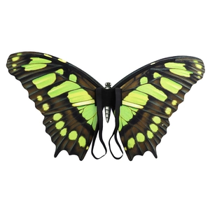 Detail of butterfly wings with elastic straps and neon green patterns for costumes
