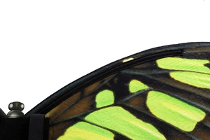 Close-up of green and black butterfly wings fabric texture and elastic shoulder straps
