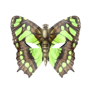Detailed view of green and brown butterfly mask with realistic printed wing textures
