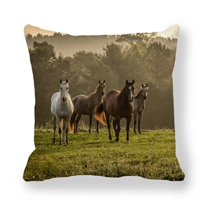 Detailed close-up of running horses print on high-quality peach skin pillowcase