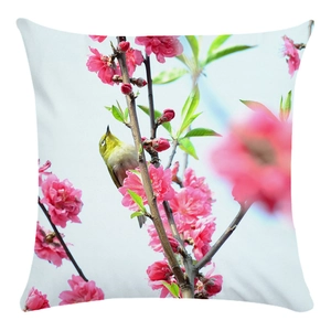 Detail of soft throw pillow featuring peach blossoms and a green bird on a white background
