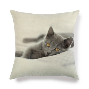 Gros plan sur la texture du lin avec un imprimé chat mignon sur la housse de coussin
