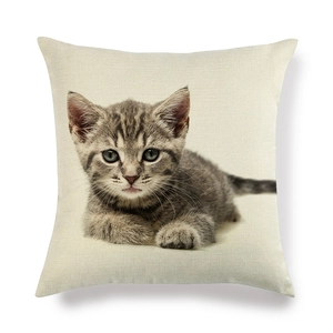 Détail de la texture en lin et de l'imprimé chaton tigré sur la housse de coussin carrée