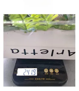 Weight measurement of the artificial Easter wreath showing 241.9g on a digital scale