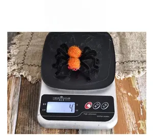 Détail d'une pince à cheveux araignée en peluche orange et noire pesant 4g sur une balance