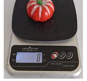 Detail shot showing 8g weight of red striped decorative pumpkin on digital scale