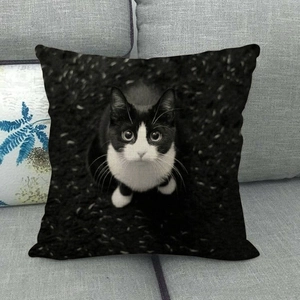 Close-up of cat series linen pillowcase showing Tuxedo cat print on gray sofa