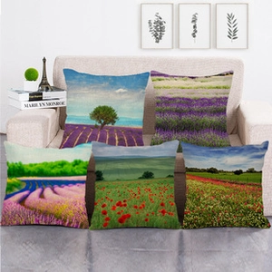 Detailed set of five linen cushion covers featuring vibrant natural landscape prints