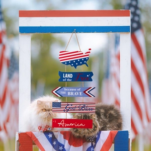 Close-up of patriotic wooden USA door sign with red white and blue eagle map design