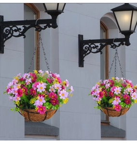 Zwei Blumenampeln mit bunten Gänseblümchen, Kokoseinlage und schwarzer Metallkette
