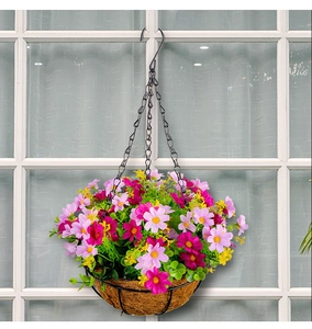 Detail eines Blumenampels mit bunten Gänseblümchen und Kokosfasereinlage