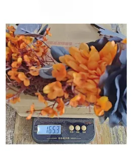 Detailed view of the Halloween crescent moon cat wreath on an electronic scale weighing 165g