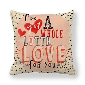 Detail of linen Valentine pillow cover with I've got a whole lotta love for you text