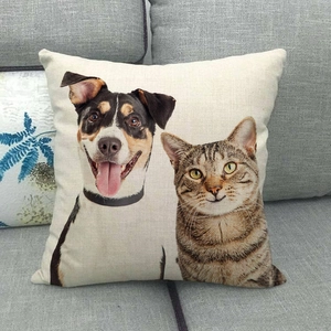Linen pillowcase with cute painted cat and dog pets on a dark gray sofa