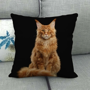 Detailed close-up of a black linen pillow cover featuring a realistic orange Maine Coon cat