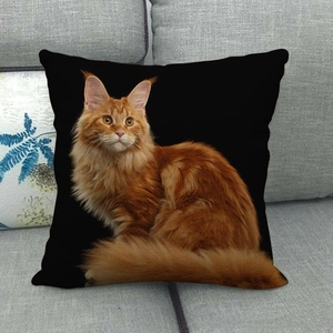 Detail of the high-definition orange Maine Coon cat print on a black linen pillow case